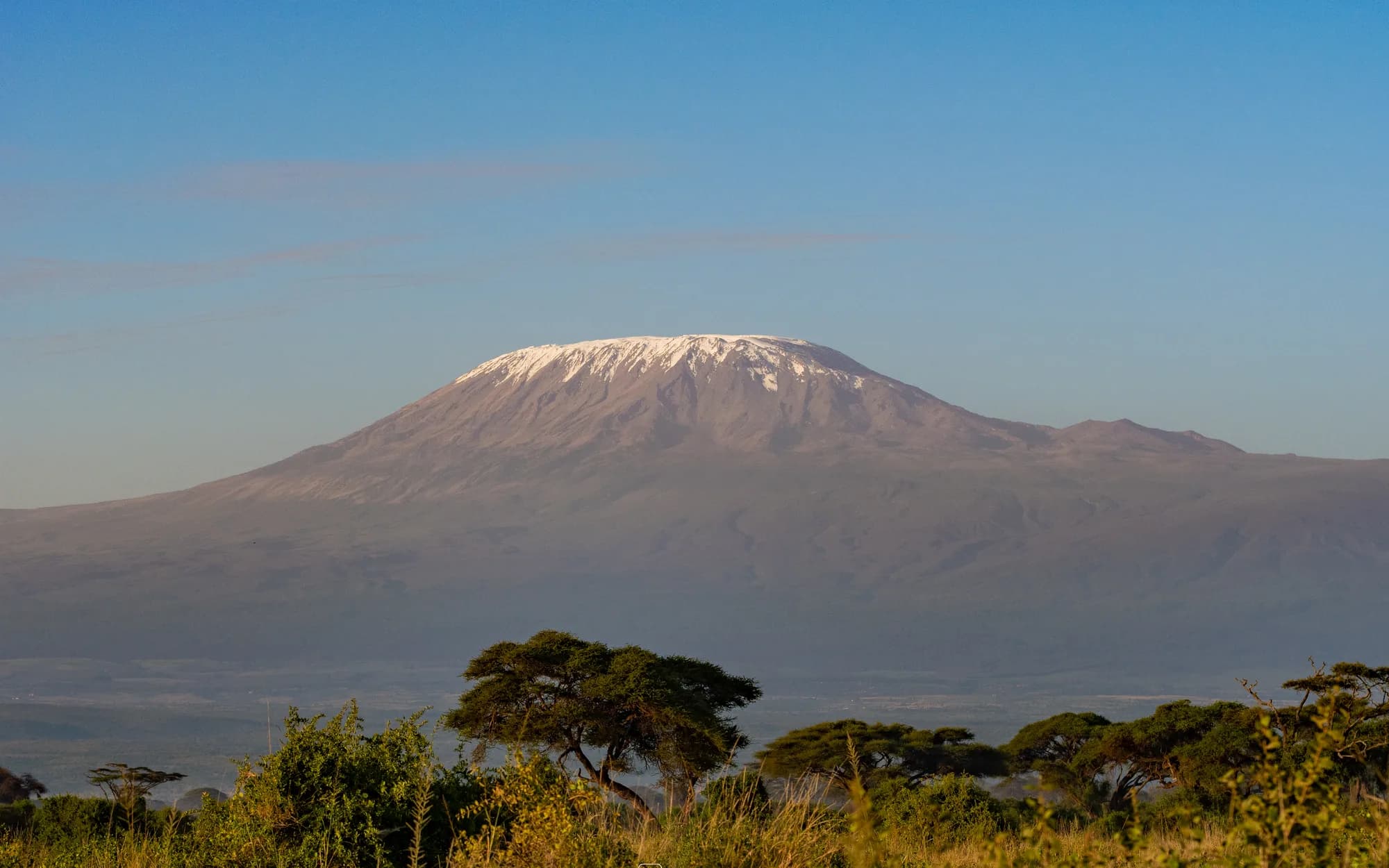 Snow-capped Mount Kilimanjaro rising above the acacia woodland of Amboseli National Park
