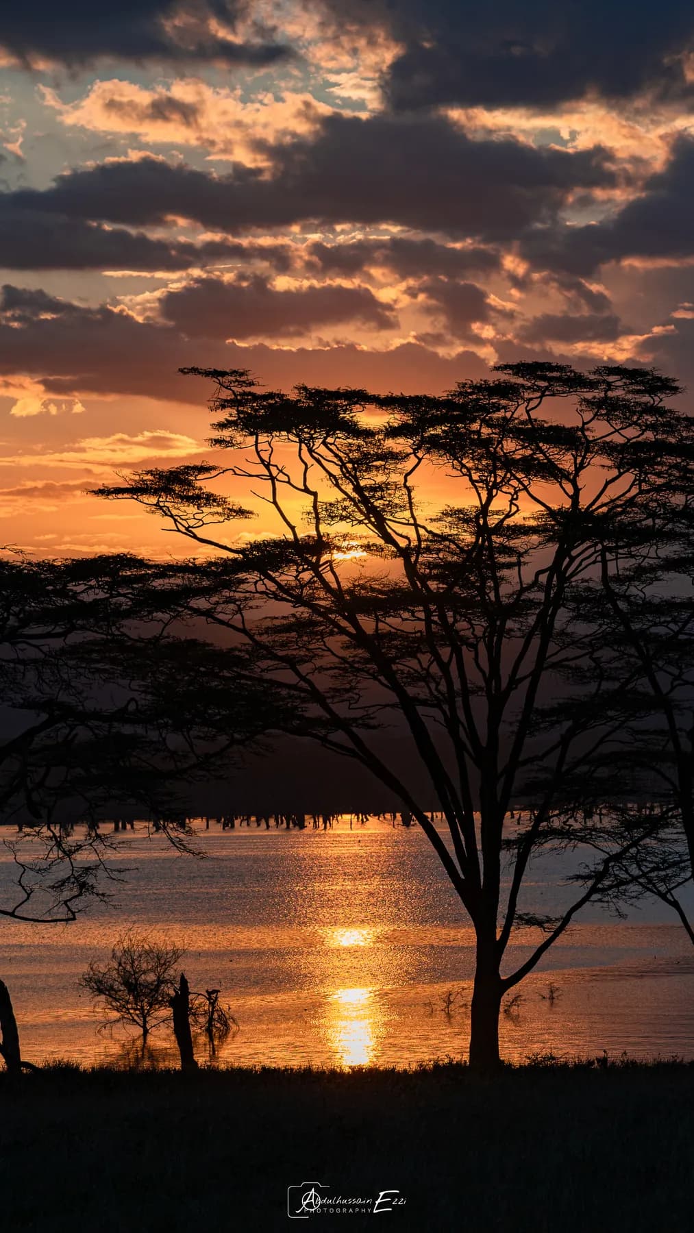 An acacia tree silhouetted against an orange sunset at Lake Nakuru