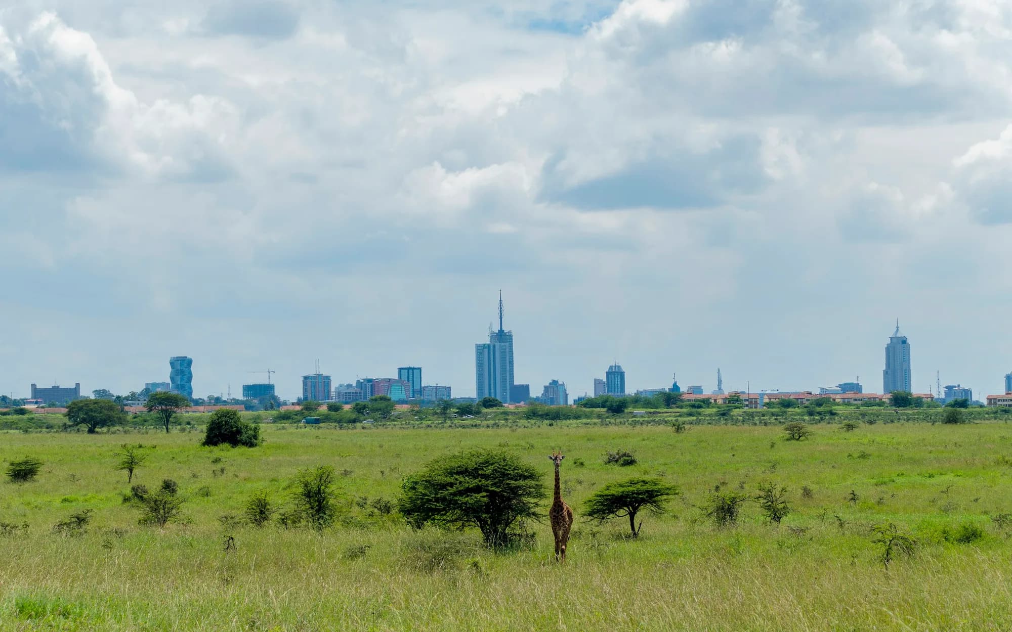 The Nairobi skyline rising beyond the open grassland of Nairobi National Park